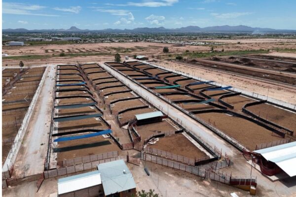 Durazo y Sheinbaum duplican la capacidad de cuarentenaria ganadera de Agua Prieta