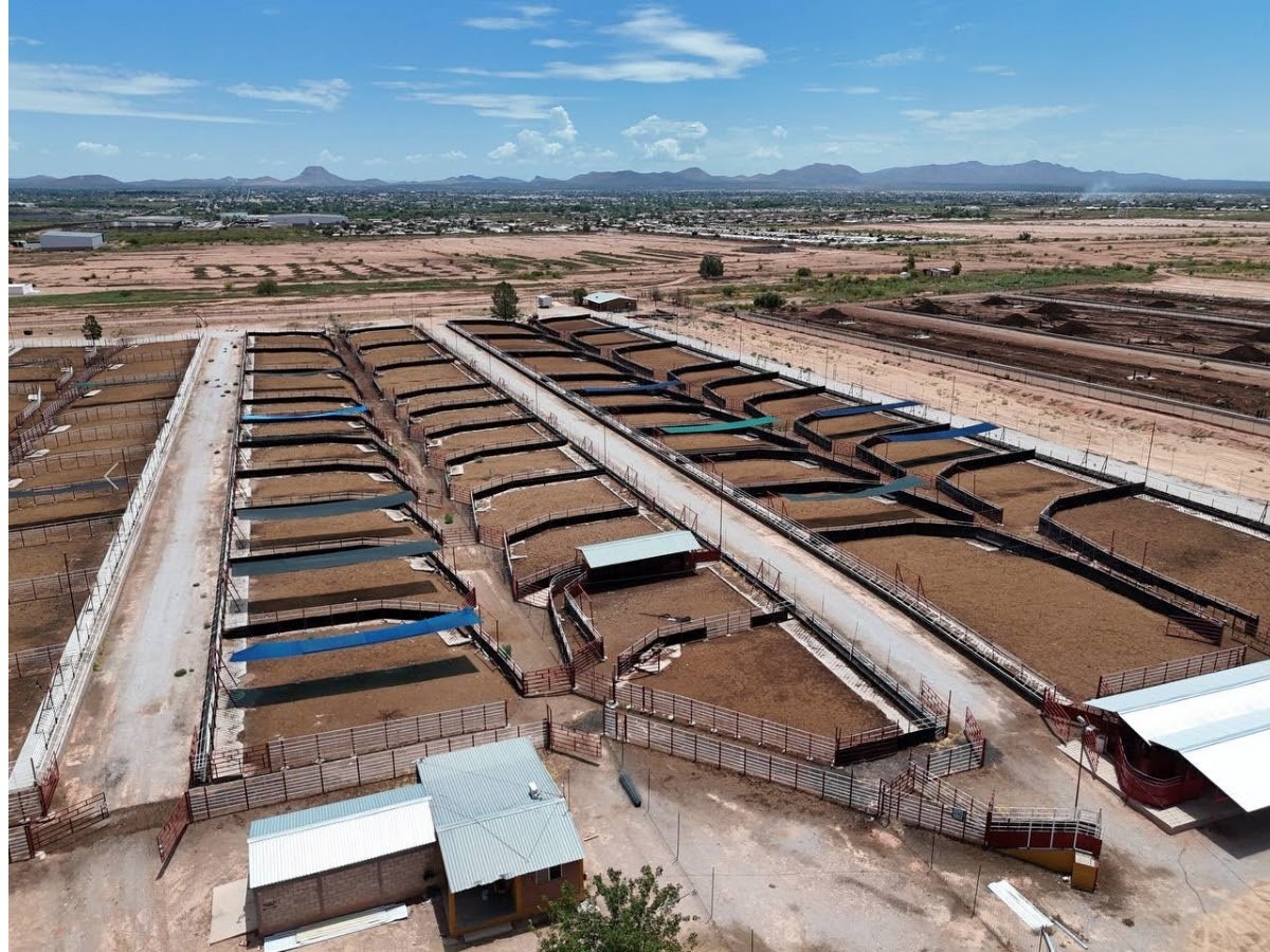 Durazo y Sheinbaum duplican la capacidad de cuarentenaria ganadera de Agua Prieta